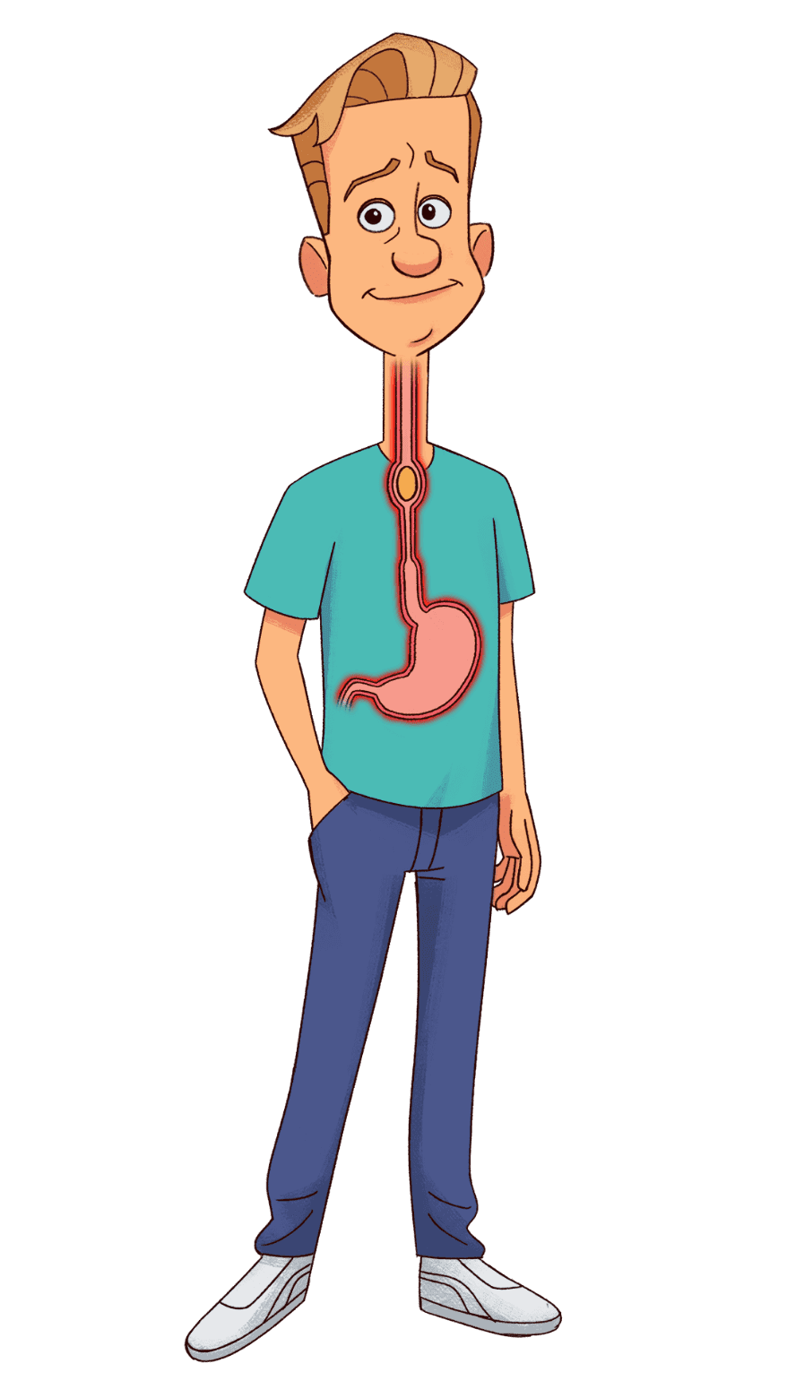 EoE Inflammation and Fibrosis Illustration